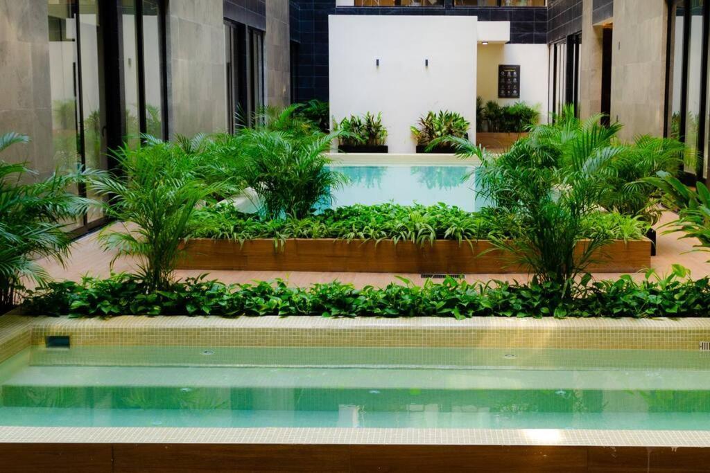Apartamento Comfortable W/ Views Rooftop Pool & Gym - 319 Musa Playa del Carmen